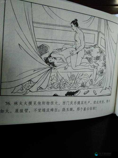 林太太府中逢甘雨：一段引人入胜的传奇故事