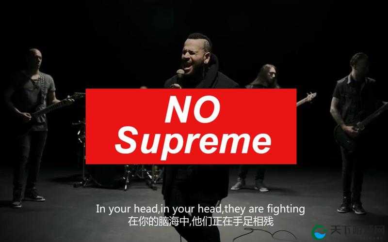 Supreme 大妈 Zombie 的独特魅力与故事