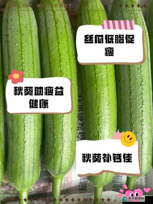 绿巨人草莓丝瓜樱桃秋葵榴莲污：探秘这些水果和蔬菜的特别之处