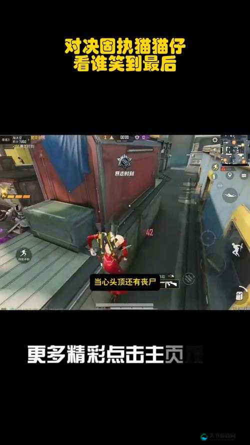 觊觎 1v2 猫丸:一场精彩刺激的对决即将上演
