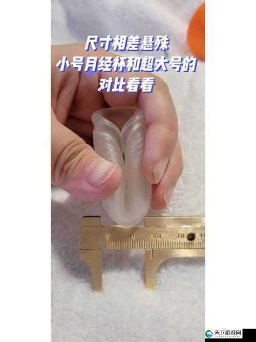 女人都喜欢大号还是小号呢：这是一个值得深入探讨的问题