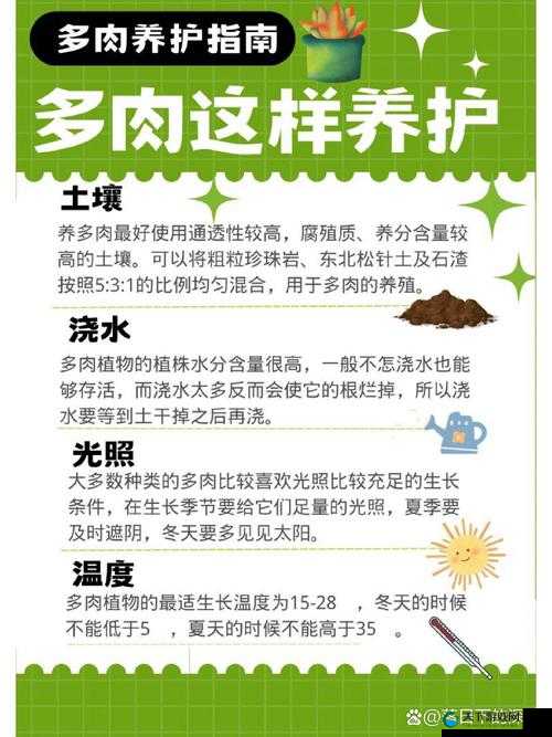 皇家共享小公主多肉怎么养多肉秘籍之详细养护指南与要点