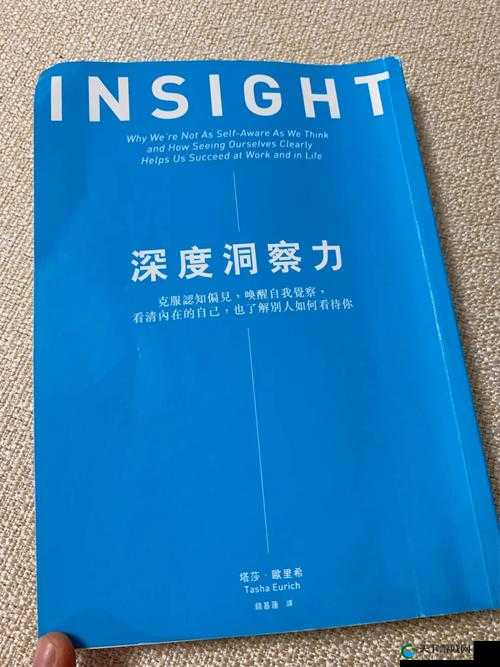 星空传媒的沈娜娜面试功能介绍是什么：全面解析与深度洞察