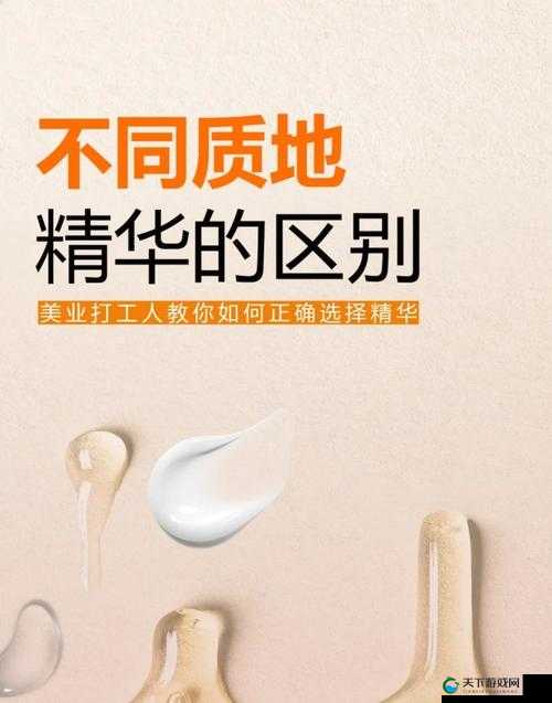 精华区二区区别 88888：深入探究其独特之处与显著差异