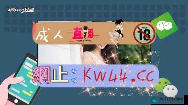 国产夜里十大禁用 B 站 APP：这些 APP 为何被禁及背后的原因探讨
