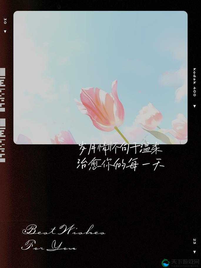 热爱依旧难挡:岁月流转,情怀如初