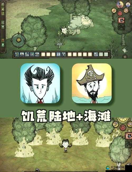 饥荒，生存与挑战的极限之旅