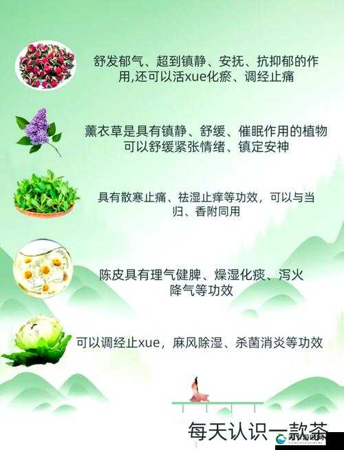 吃花核心流水喝：探寻独特饮食方式背后的奥秘与魅力