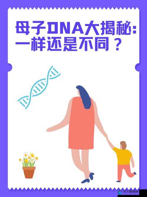 母亲和儿子 dna 一样吗:关于亲子关系中 DNA 奥秘的探讨