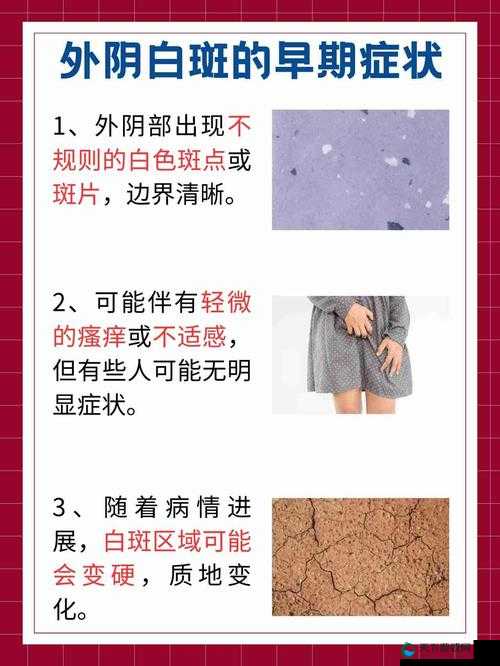 黑料吃瓜网曝一区二区：深入揭秘那些不为人知的隐秘事件