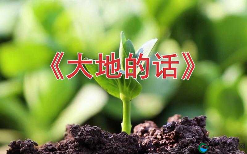 大地资源二在线观看免费高清：提供丰富影视资源的绝佳选择