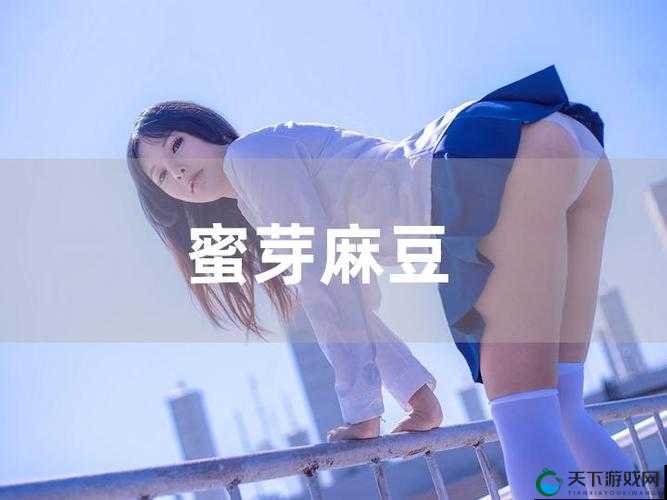 果冻传媒与麻豆精东:打造优质内容,引领行业潮流