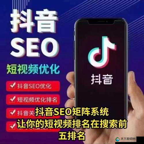 SEO 短视频网页入口：发现精彩短视频，提升网站排名