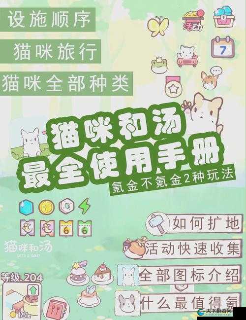 猫咪和汤如何顺利进入猫猫房间的奇妙探索