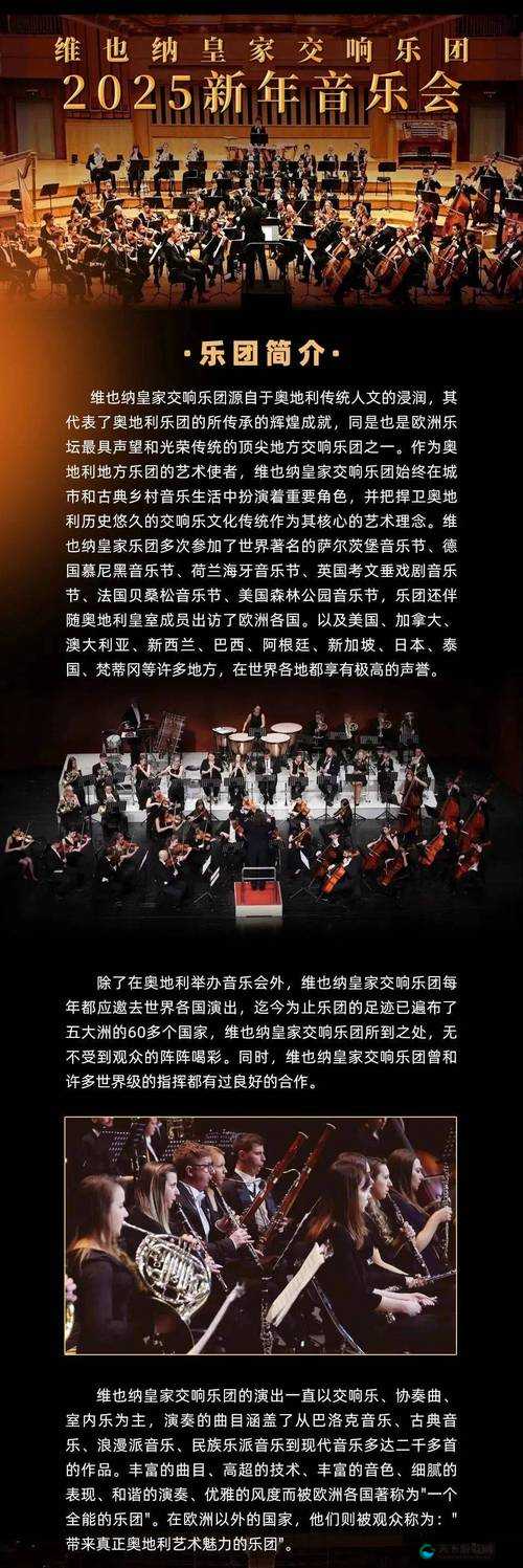 xxxxl19：跨越时空的音乐传奇