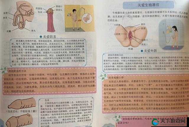 性别自由凸轮管:突破传统的性观念与科技的交融