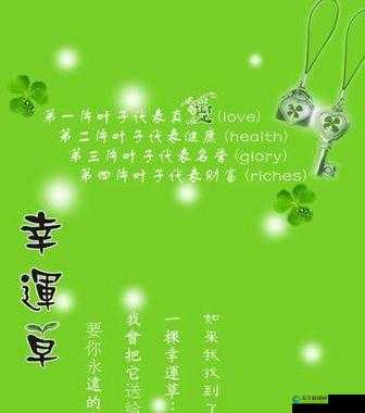 四叶草欧洲和国产区别：探究其品质特性与市场表现