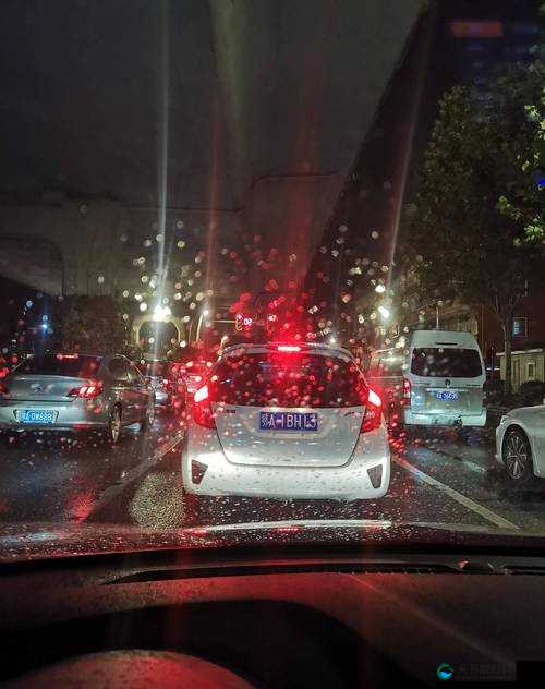 在一个风雨交加的夜晚，一辆颠簸的公交车在山路上艰难行驶，最终被网友发现