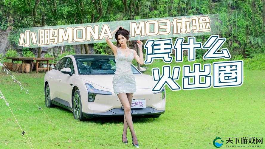 抵债的朋友麦子 3 和普通版对比：全方位深度解析二者差异