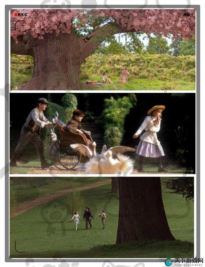 秘密花园高清在线观看完整版：领略奇幻爱情的视觉盛宴