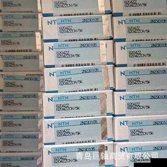 日本 NTN32219 尺寸相关产品特性及应用介绍