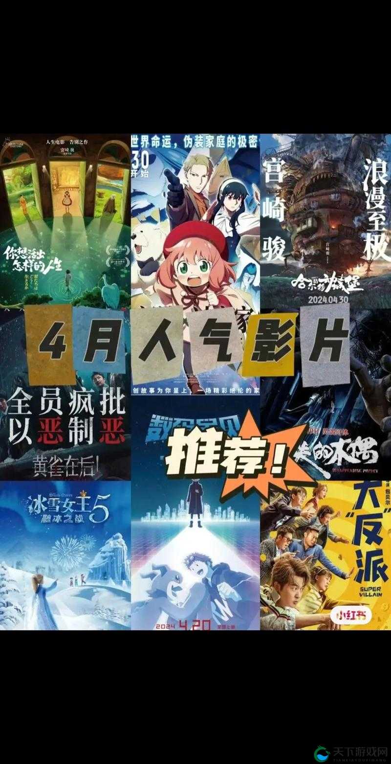 最好看的 2024 国语字幕电影：精彩绝伦不容错过的视觉盛宴