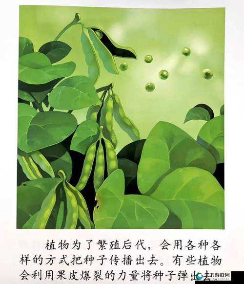 探索杆草一家三娘：植物与家庭的故事