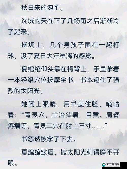 坐在学霸的棍子上背单词小说阅读：别样的学习与奇妙体验