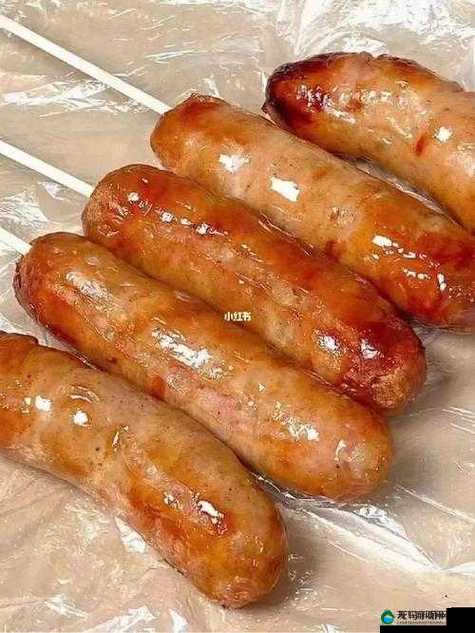 小洞需要大肉肠的惊人真相：背后隐藏的不为人知秘密