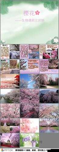 樱花成品 PPT 网站免费观看资源汇总及推荐