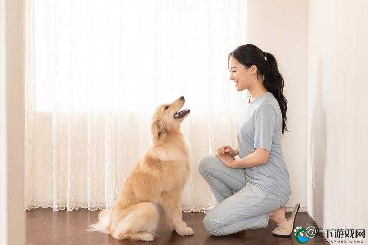 草 WINDOWSCHANNEL 孕妇相关事件引发广泛关注与热议