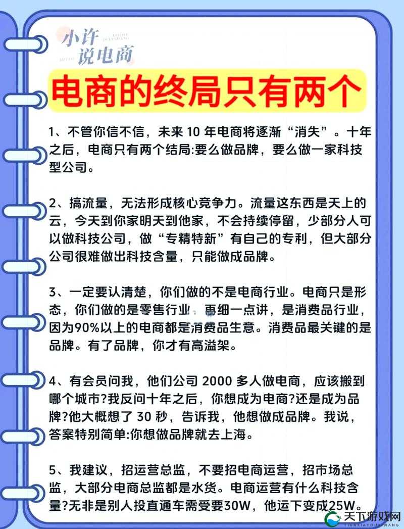 2024amazon 欧洲站电商巨头如何迎接挑战：解析未来发展的关键策略