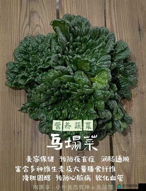 日本母亲农场特色农牧产品：天然、健康、美味的选择