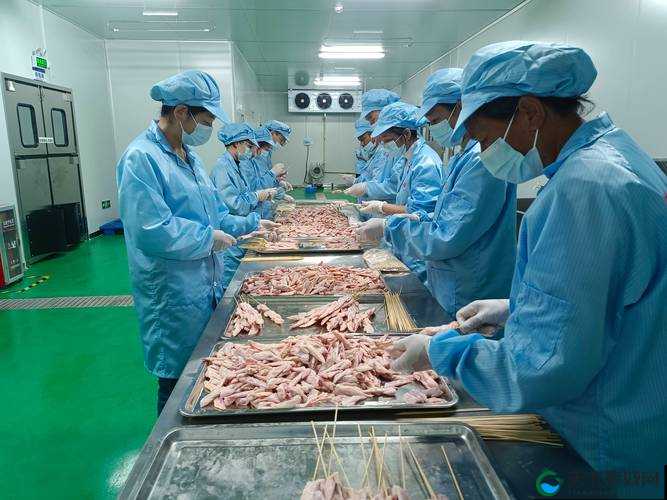 国精产品 69 国精产品视频:探索未知的精彩世界