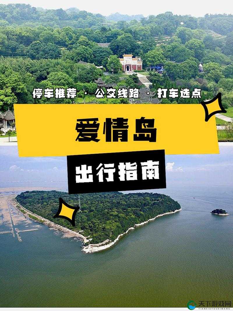爱情岛网站：一个充满浪漫与情感的独特天地