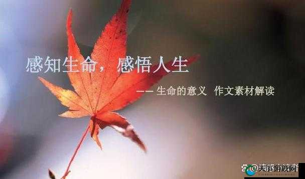 你叫的越大声我就越兴奋：释放内心的激情与渴望