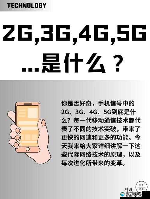 香蕉视频 影院：畅享天天 香蕉视频 天天爽极致体验