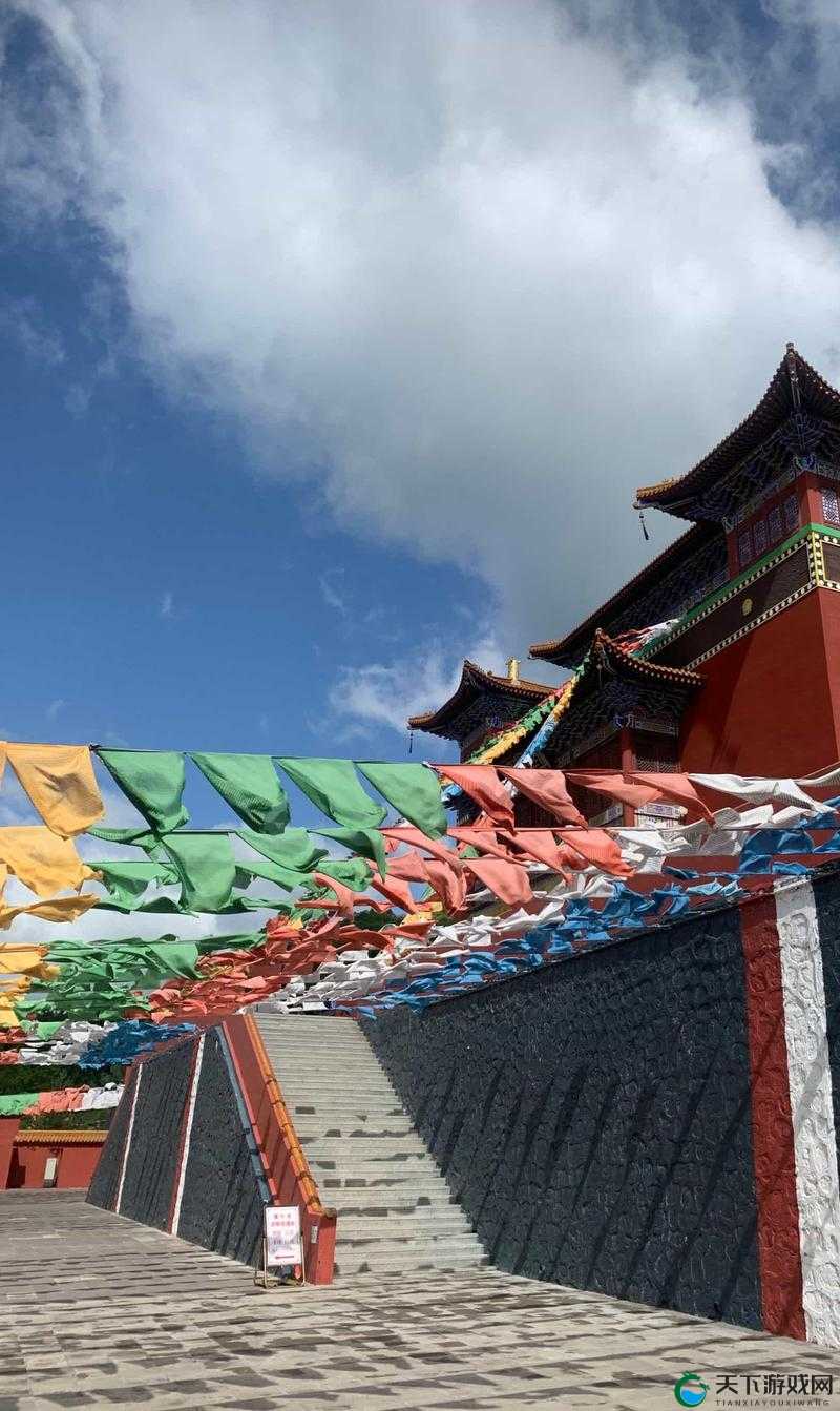 探索蒙古 B 大吗：关于其历史文化与独特魅力的深入探究