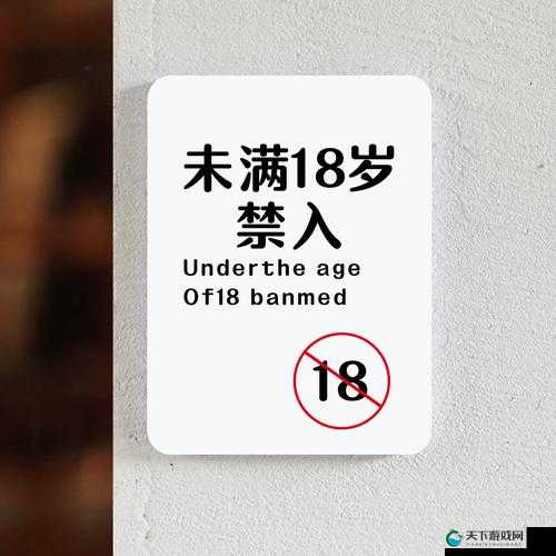 未满十八岁禁止进入服务器在美国：这是重要规定需严格遵守