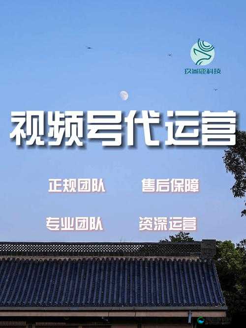 扣扣传媒网：引领优质内容传播新潮流