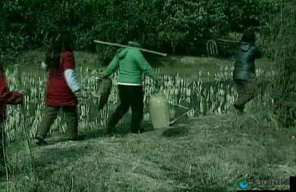 儿子耕种母亲的田地的寓意电影:揭示亲情与土地的深层羁绊
