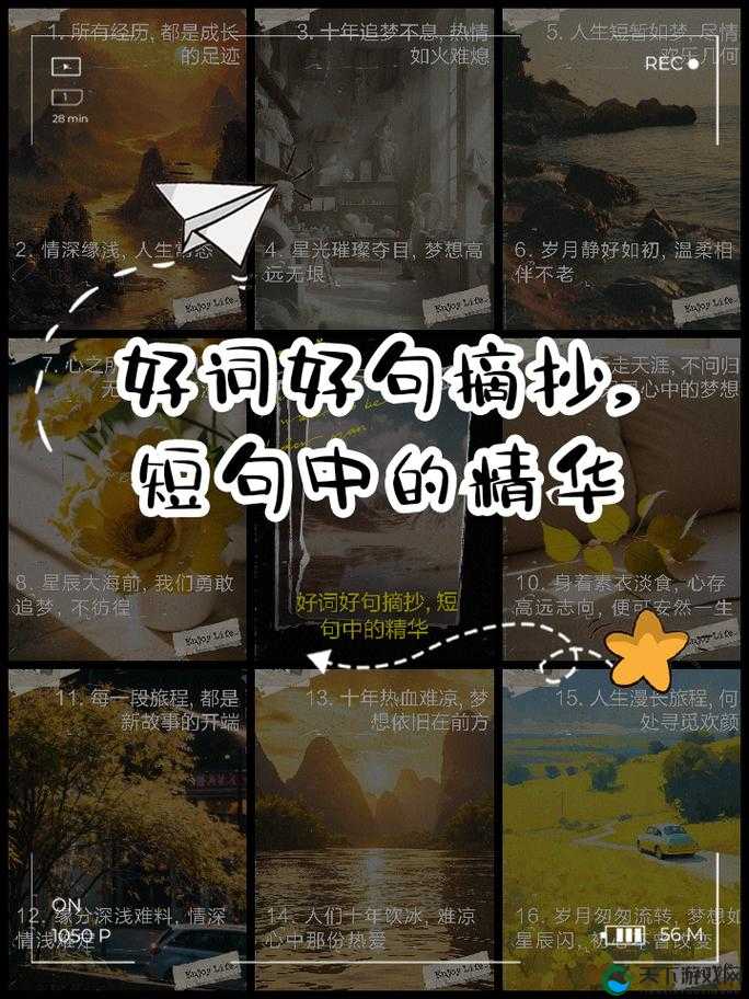 卢珊珊星空传媒：开启创意与梦想的璀璨之旅