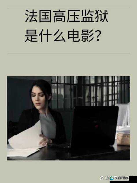 高压监控 2 法国版：关于其背后故事与深刻意义的探讨