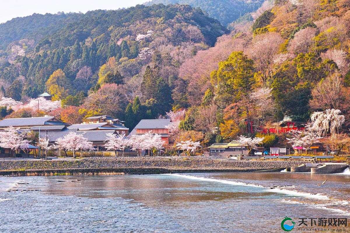 日本精品一区：探索岛国文化的独特魅力