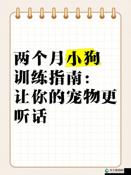 网调小狗方法分享：让你的宠物狗更听话