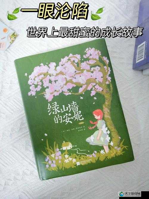 墙壁另一边的另一个女孩：探索爱与成长的故事