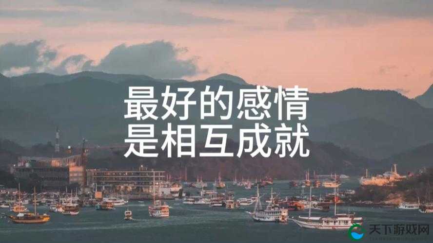 妻友 love ：一段跨越时光与距离的真挚情感之旅