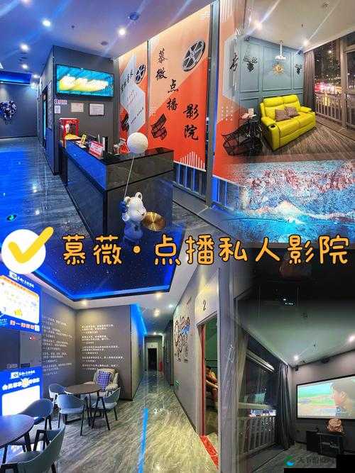 姓盈盈影院：呈现精彩绝伦的视听盛宴之旅