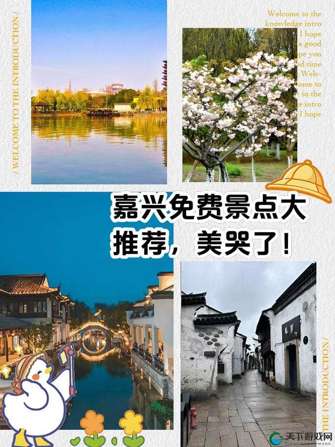 搞机直接打开嘉兴圈：带你领略嘉兴独特魅力风情