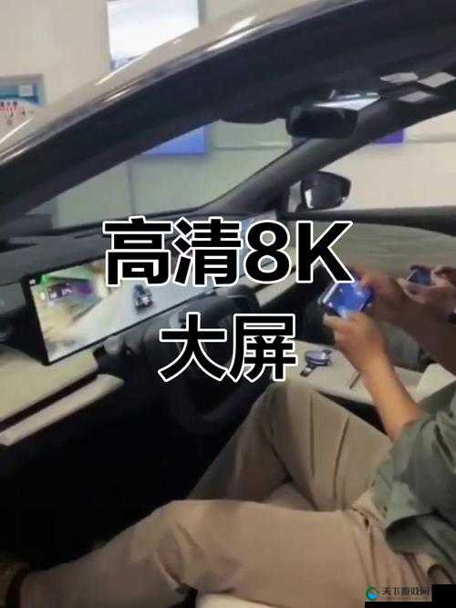 中国高清WINDOWS 视频播放：带来极致视听体验